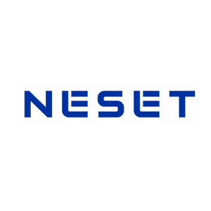 Neset Consulting Services - Top Energy Consulting Providers Neset Consulting Services