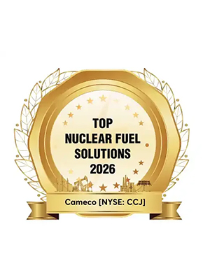 Top Nuclear Fuel Solutions 2026